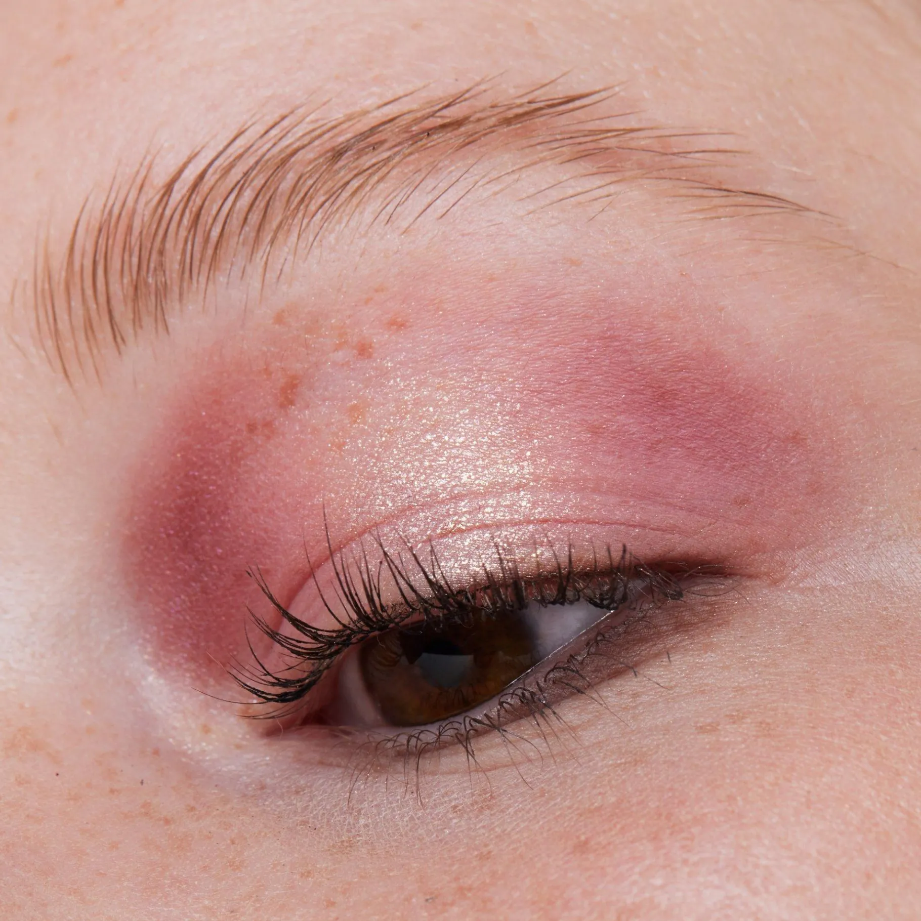 essence Sombra De Ojos>Don't Stop believing in… minipaleta de sombras de ojos