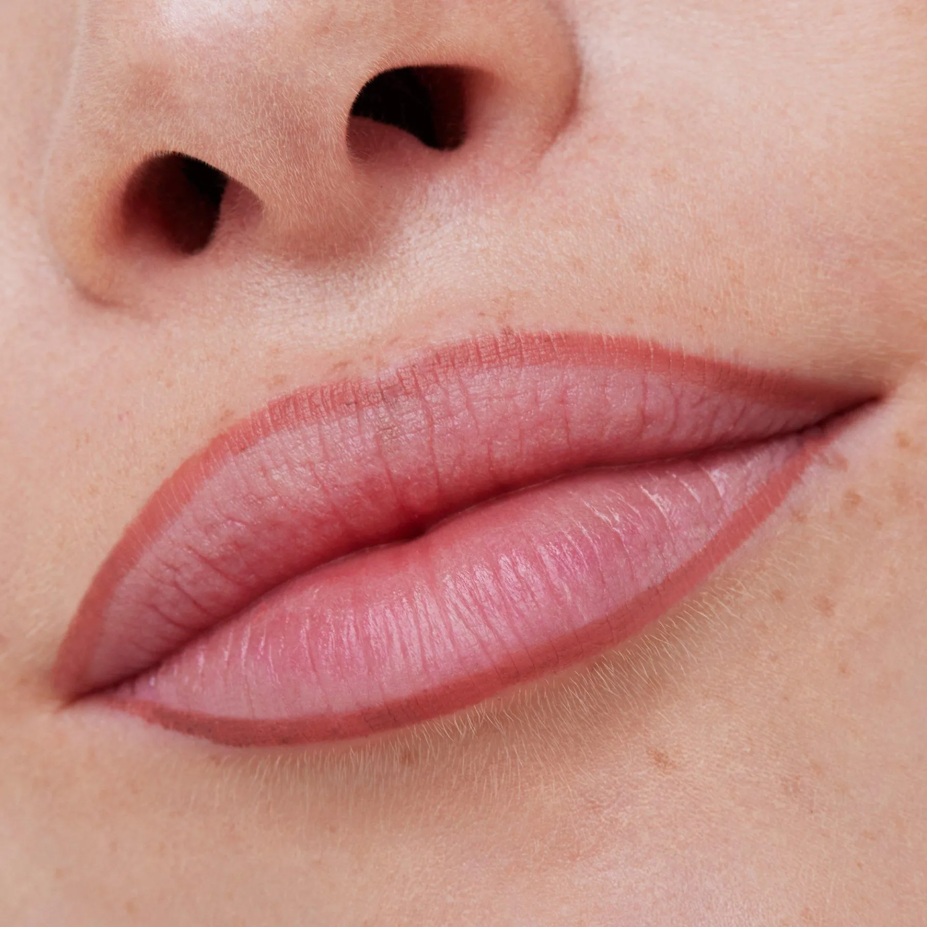 essence Perfilador De Labios>8h MATTE comfort perfilador de labios
