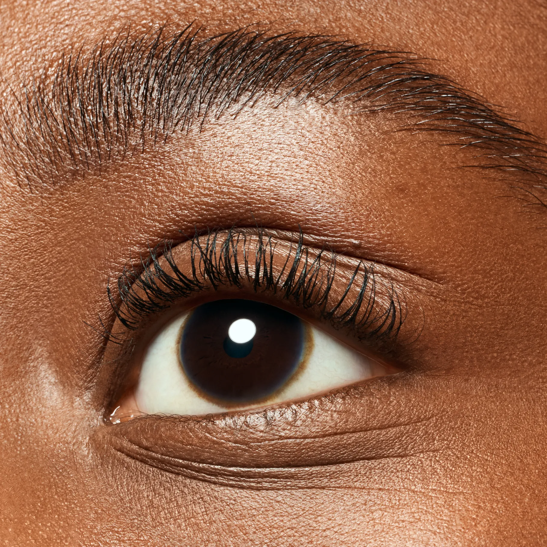 essence Cejas|Máscara>lash & brow máscara gel para pestañas y cejas
