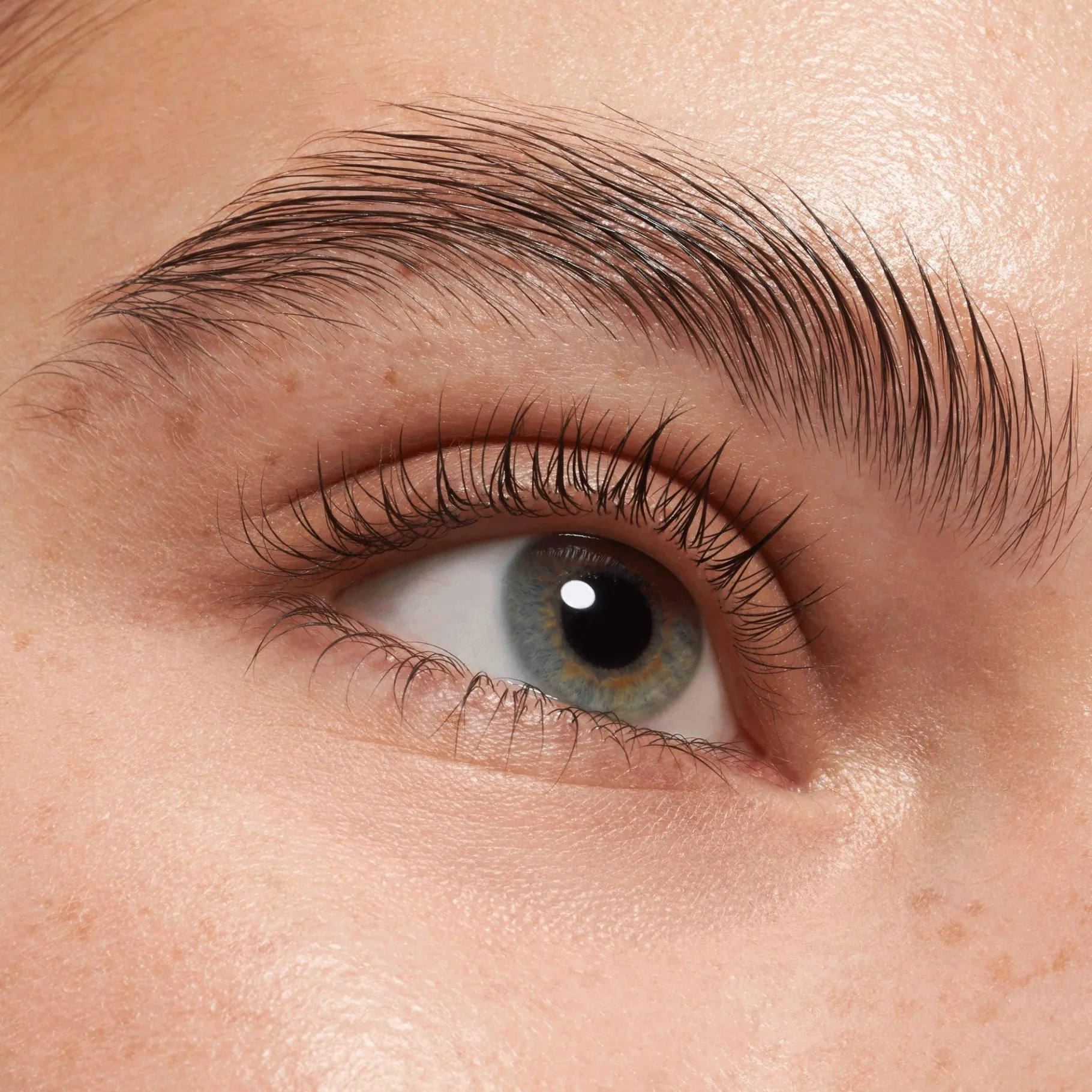 essence Cejas|Máscara>lash & brow máscara gel para pestañas y cejas