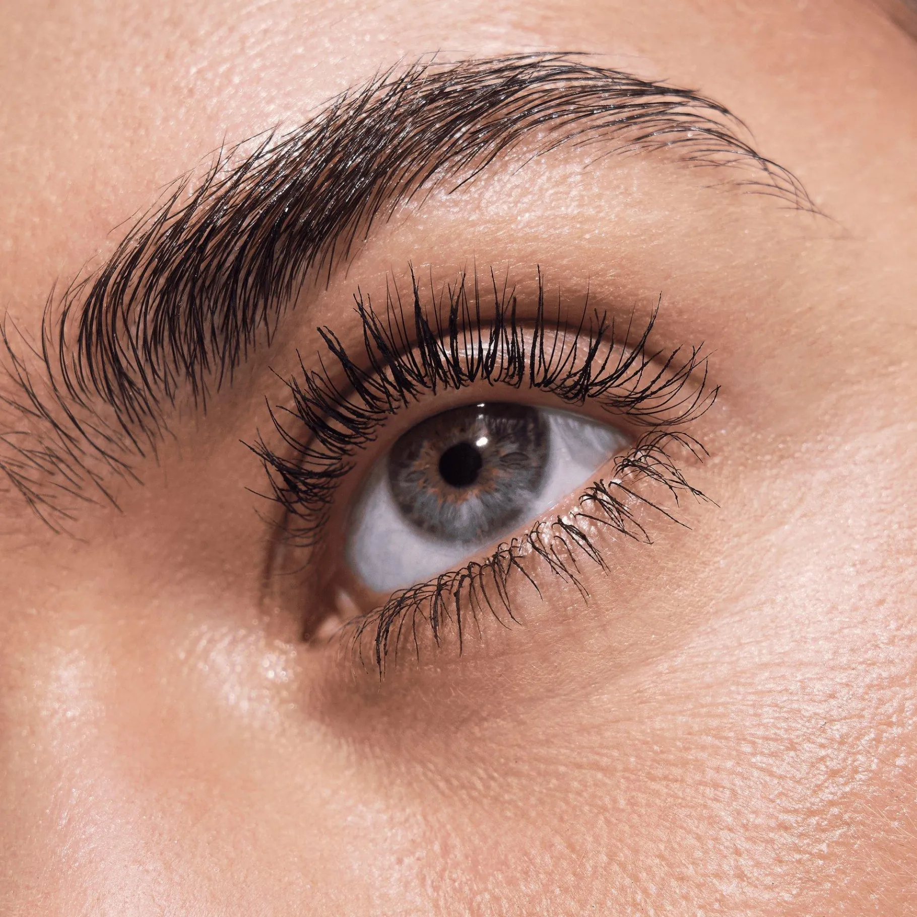 essence Máscara>Mascara resistente al agua LIFT UP Volume & Lift Power Hold Finding Dory de Disney Pixar