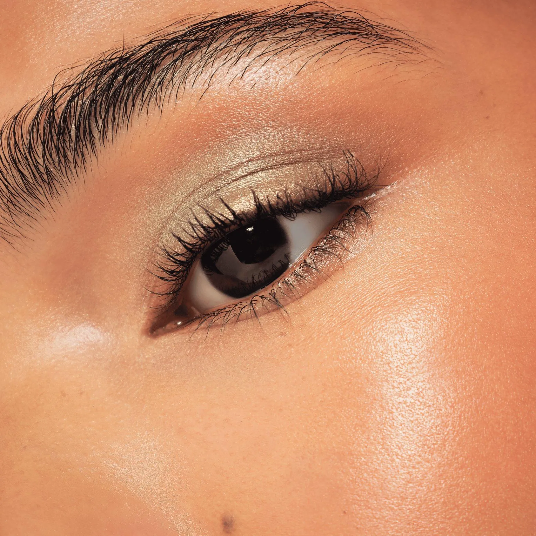 essence Sombra De Ojos>Paleta de sombras de ojos Up de Disney Pixar