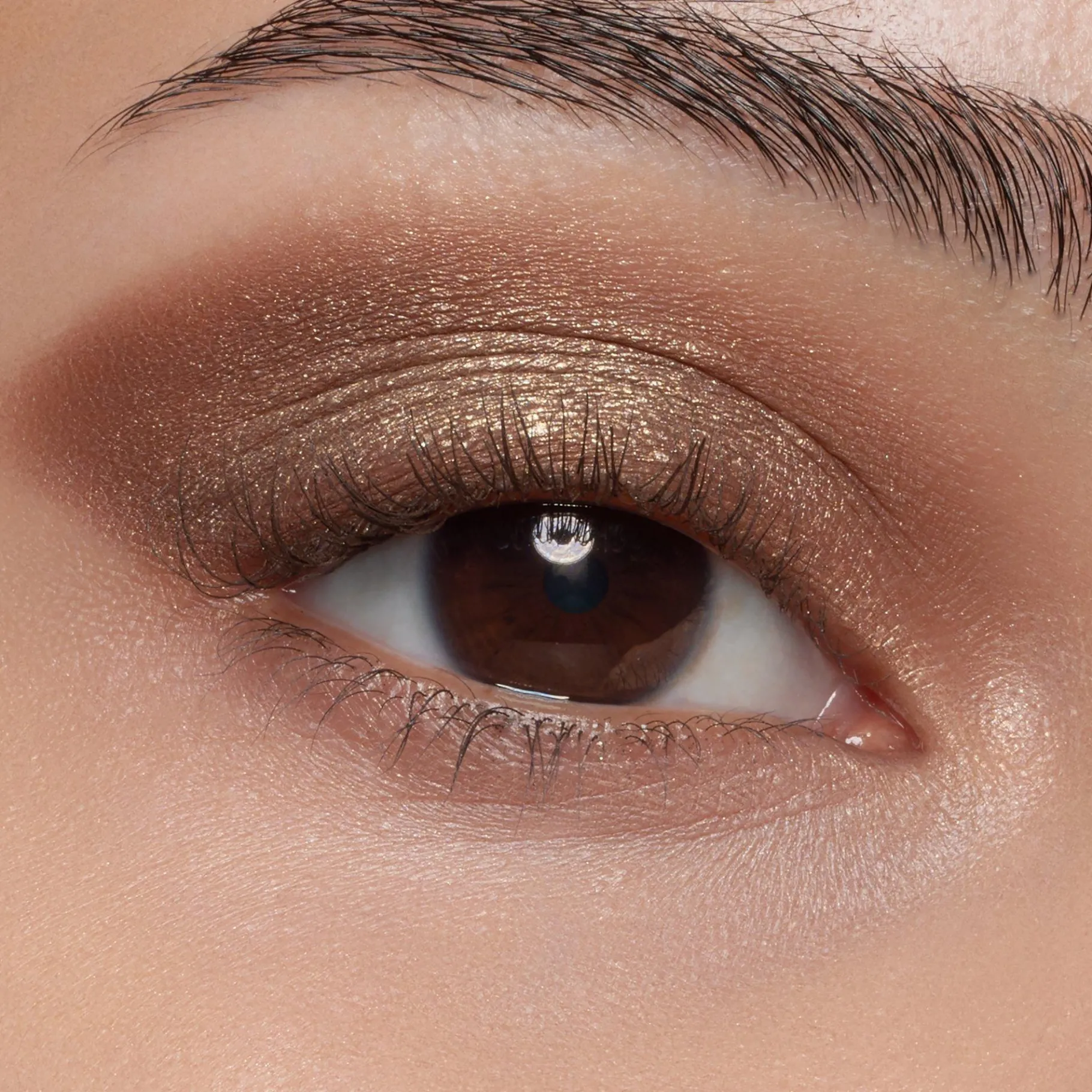essence Sombra De Ojos>Paleta de sombras de ojos welcome to CAPE TOWN