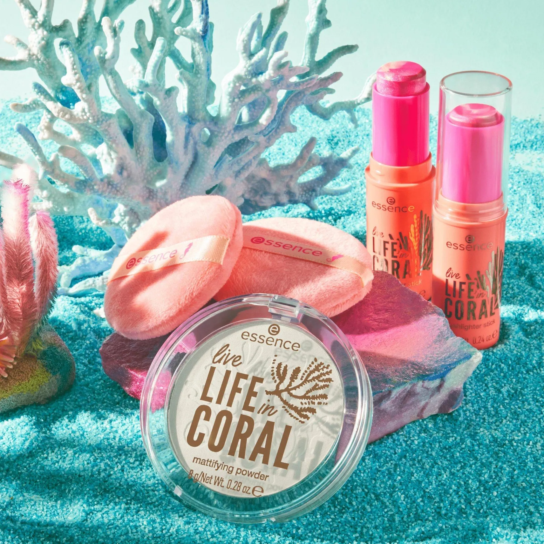essence Polvos>Polvos matificantes live LIFE in CORAL