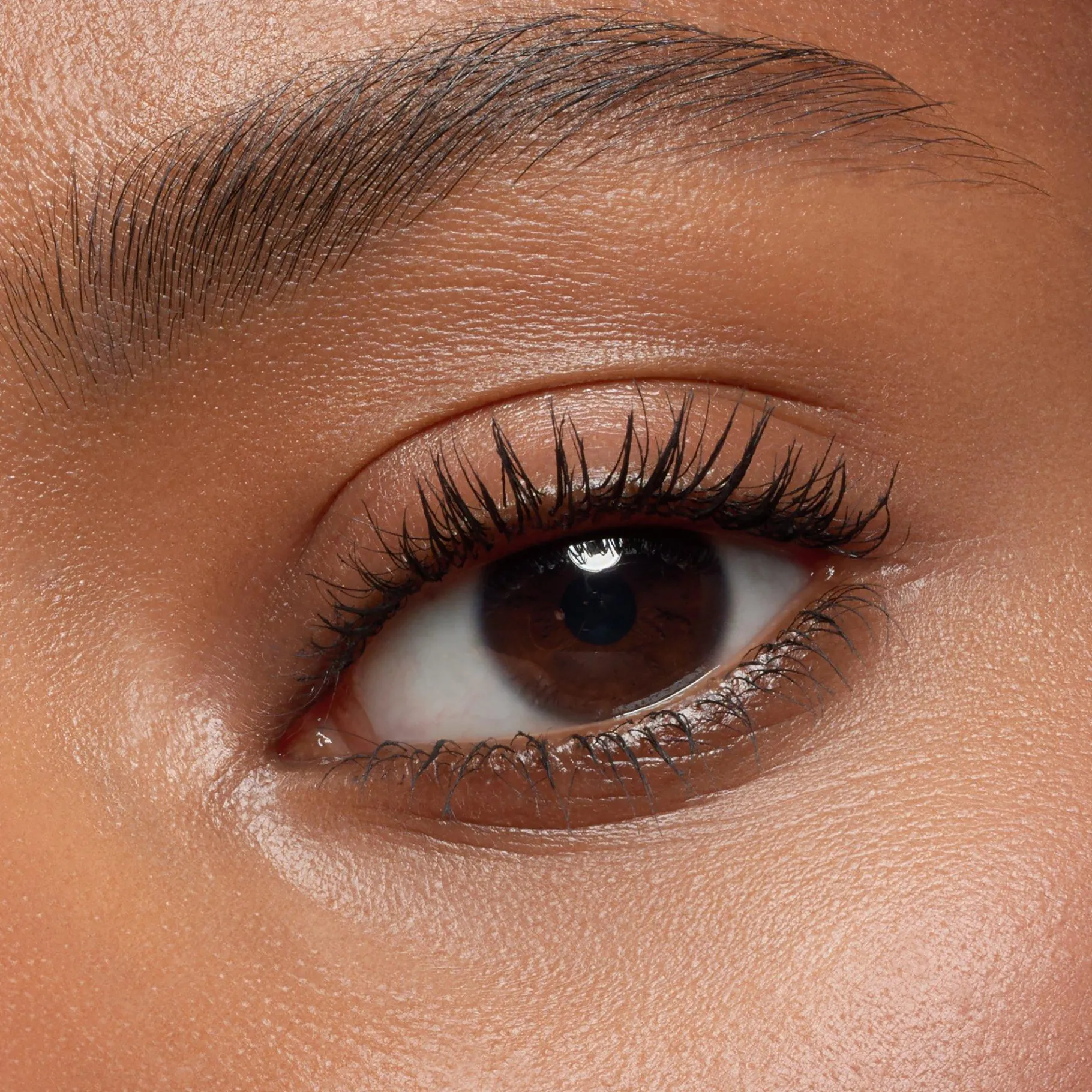 essence Cejas>Set de cejas easy & WOW medium