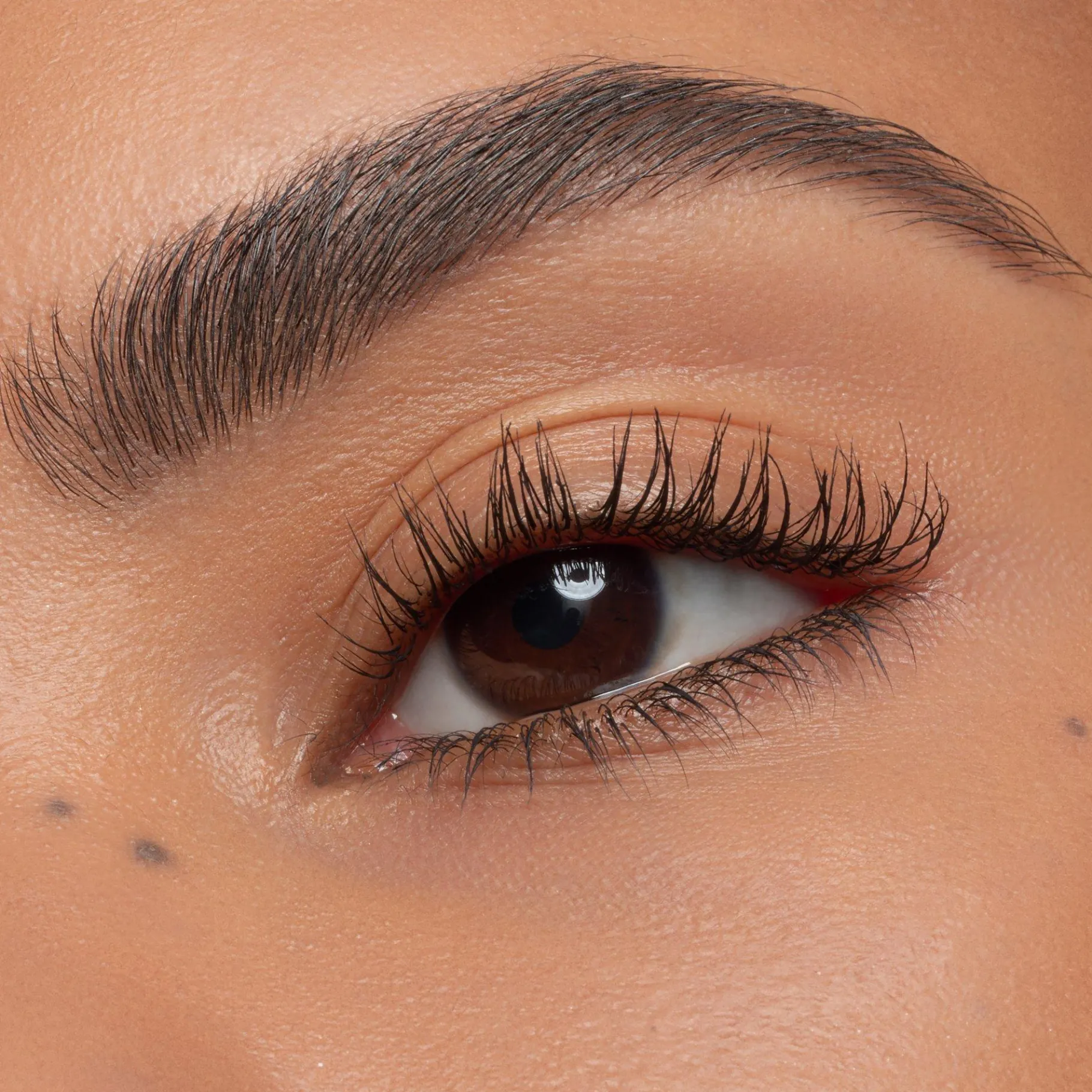 essence Cejas>Set de cejas easy & WOW medium