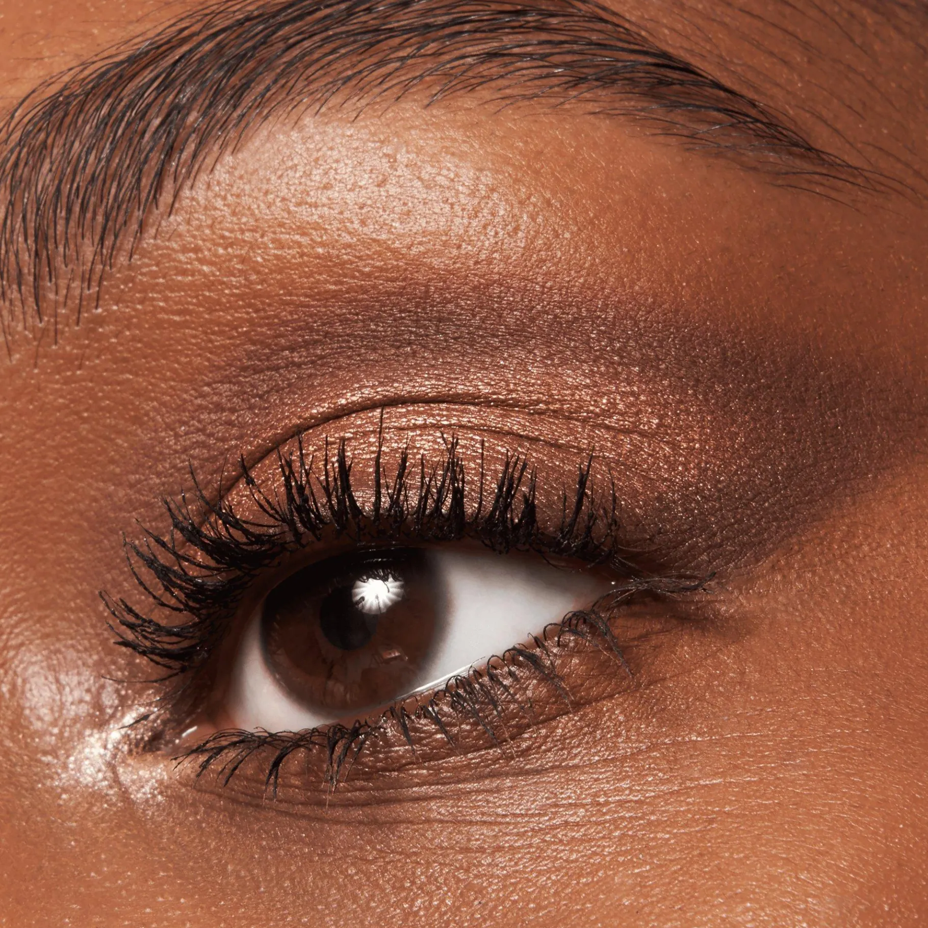 essence Sombra De Ojos>the BROWN edition paleta de sombras de ojos