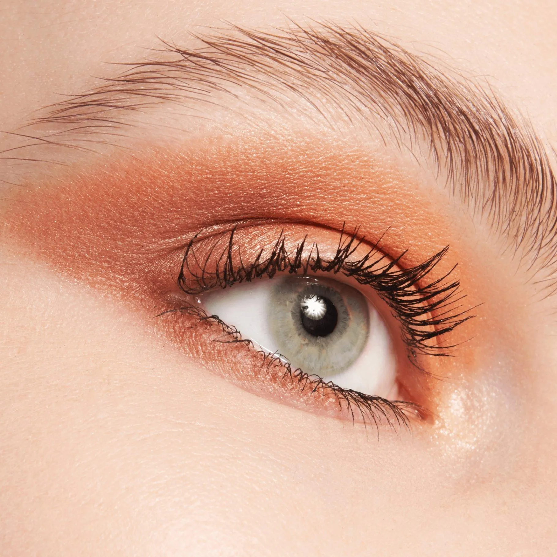 essence Sombra De Ojos>the BROWN edition paleta de sombras de ojos