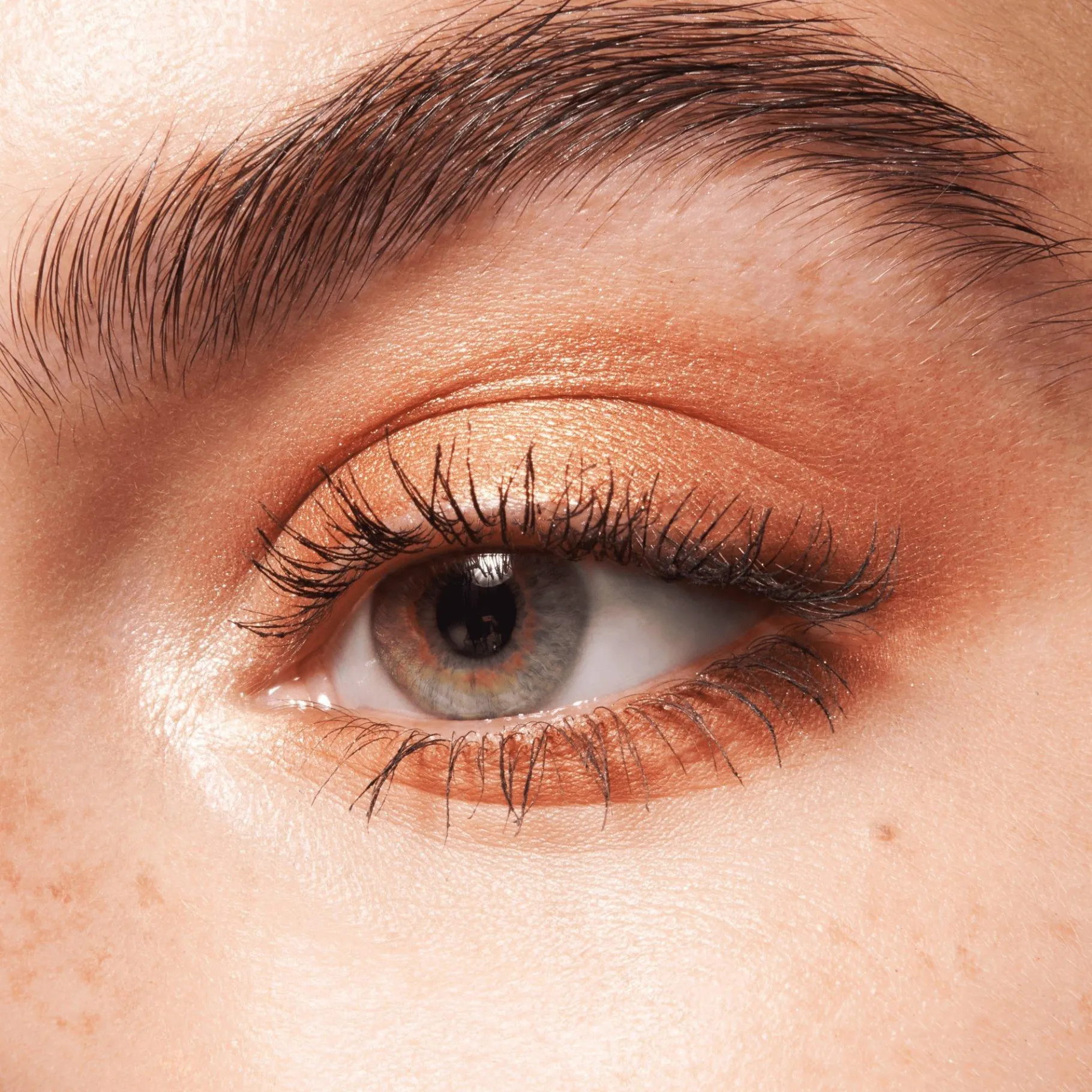 essence Sombra De Ojos>the BROWN edition paleta de sombras de ojos