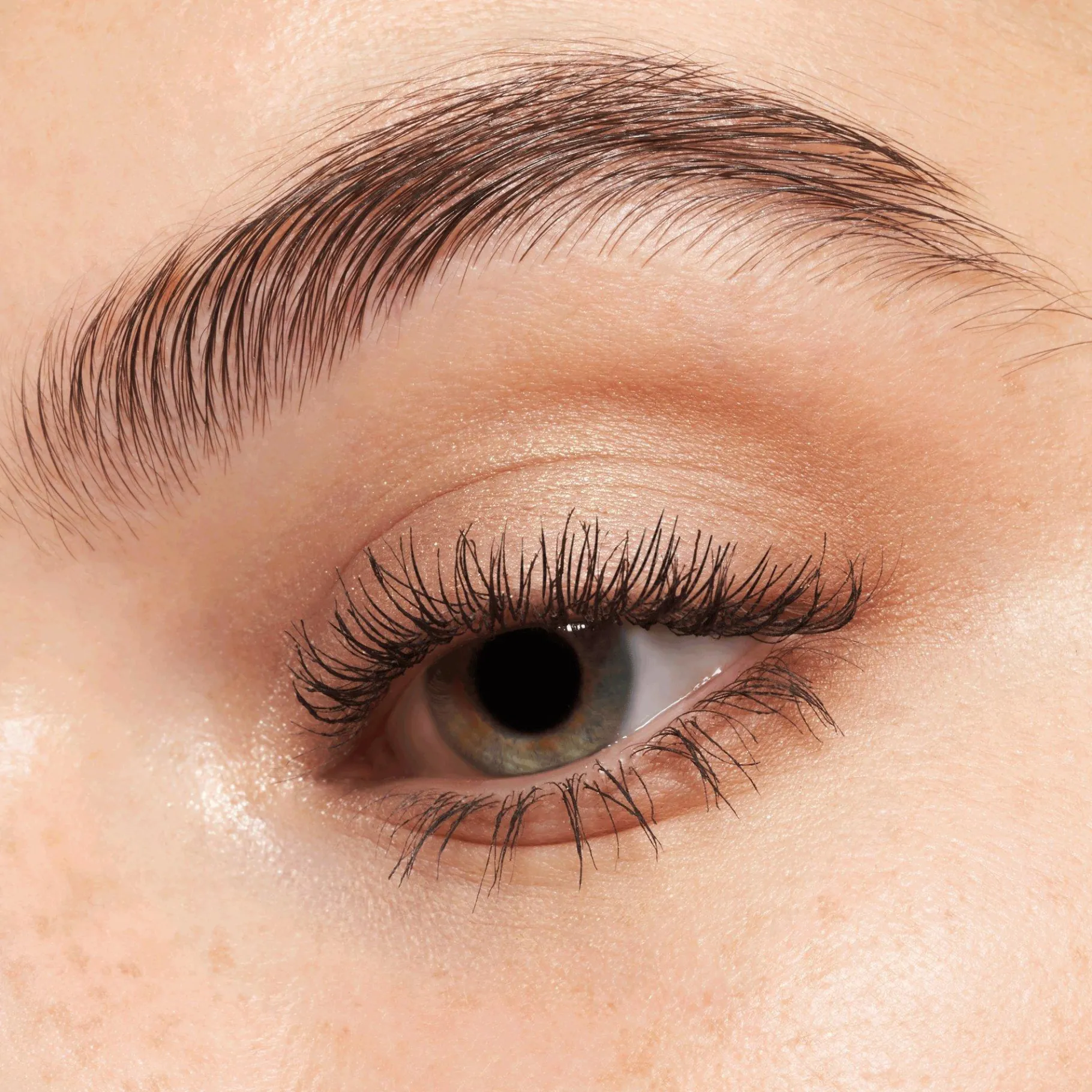 essence Sombra De Ojos>the NUDE edition paleta de sombras de ojos