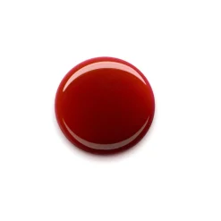 essence Barra De Labios|Colorete><noscript><img width=